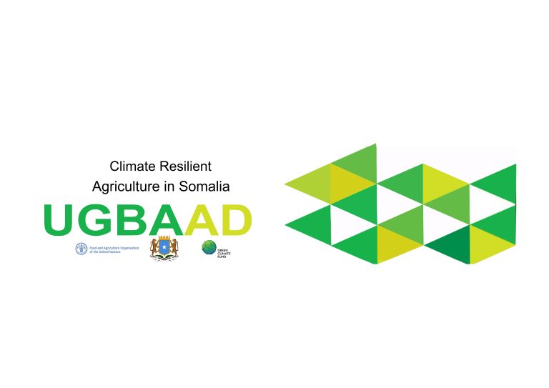Terms of Reference for Consulting Services for Procurement and delivery of Certified Seed Delivery Services to the ministry of agriculture and irrigation (MoAI) and Federal Member States (FMS)