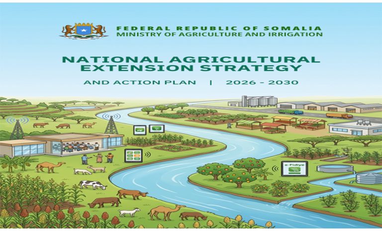 NATIONAL AGRICULTURALEXTENSION STRATEGY