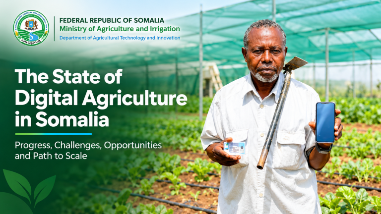 The State of Digital Agriculture In Somalia 2026
